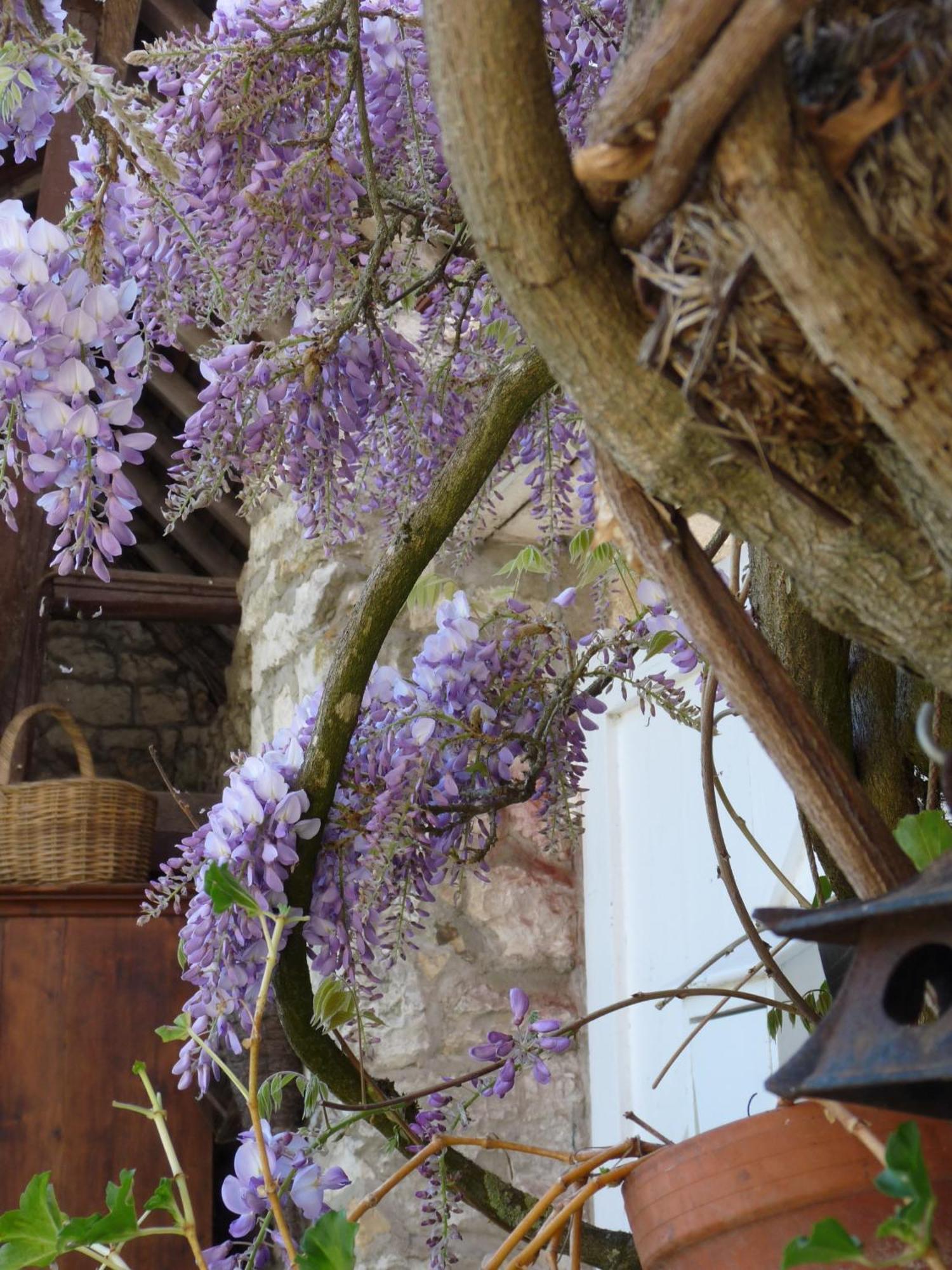 La Maison De Madame Baudy Giverny Dış mekan fotoğraf